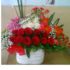 Jual Bunga Natal Di Tangerang Kode : BN 05