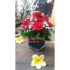 Bunga Vas Mawar Merah Di jakarta 085959000629